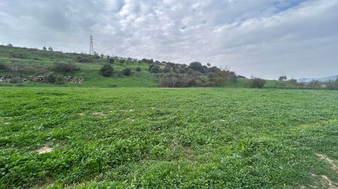 Foto 3 de Residencial en venta en El Romeral - Peñón de Zapata, Alhaurín de la Torre