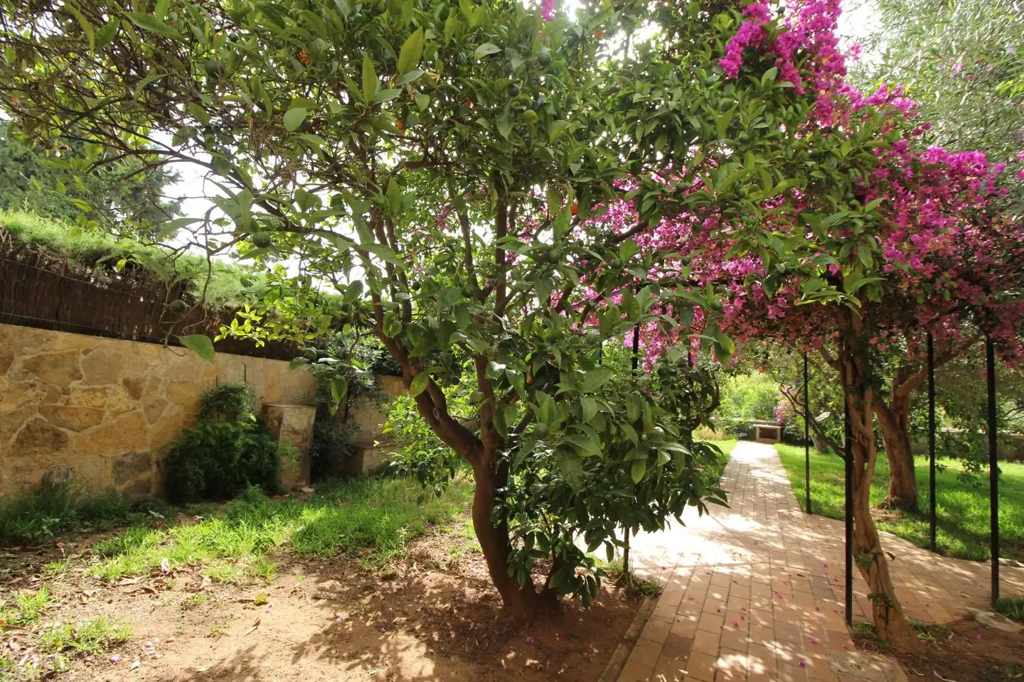 Casa o xalet en venda a De Victòria Ramis D'Ayreflor, Son Flor - Son Moix