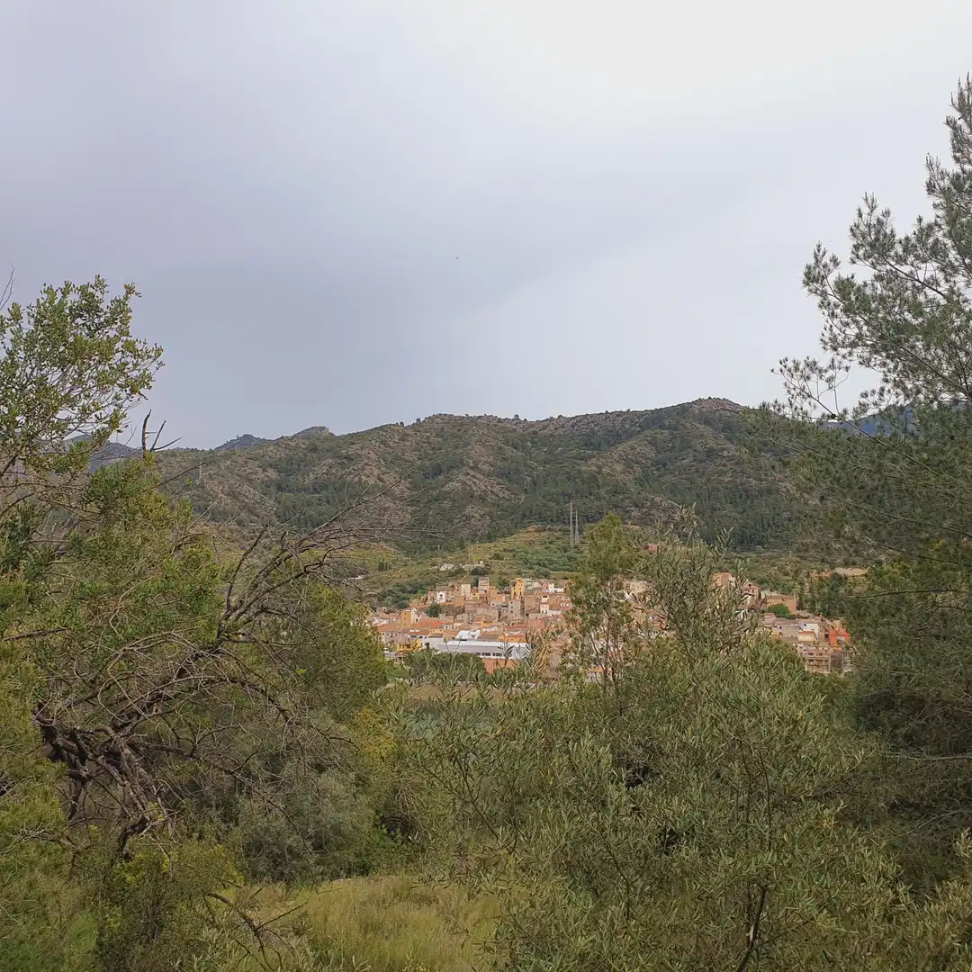 Terrain rustique à vendre à Benifallet, imagen 49