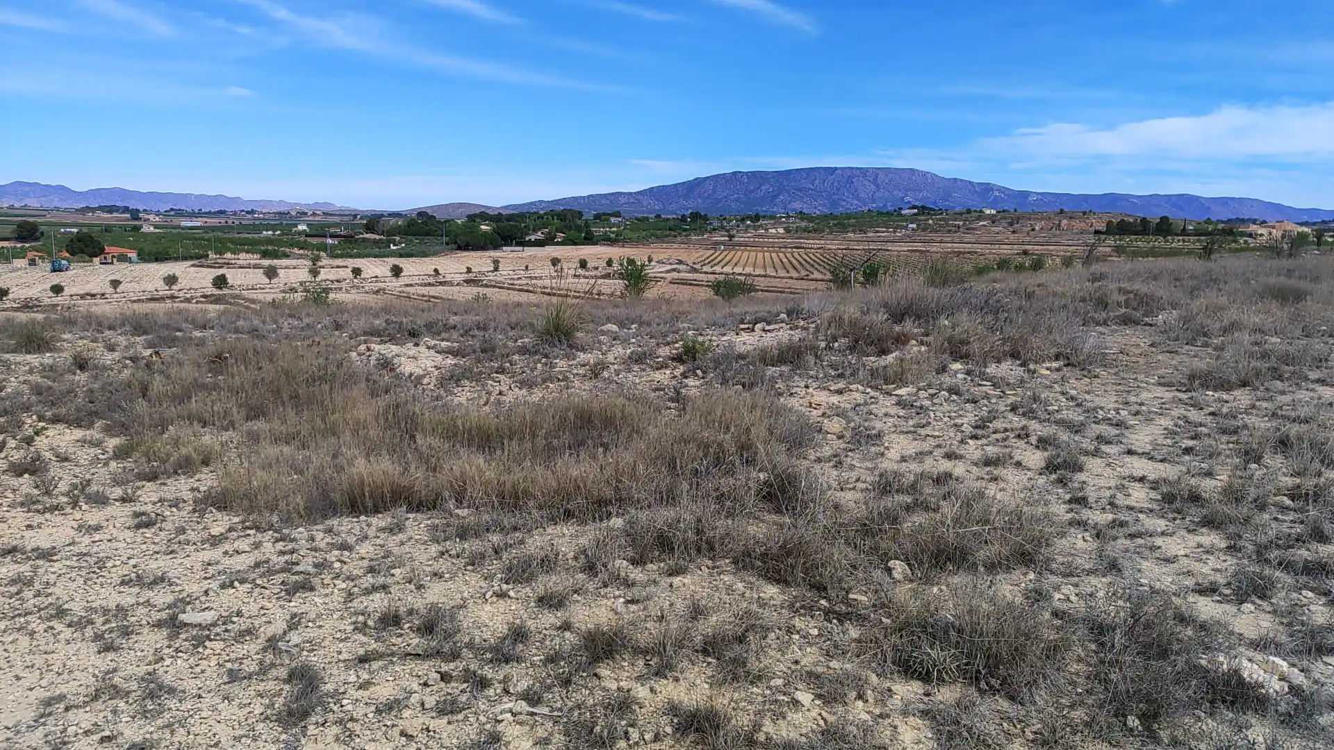 Terreno en venta en Camino del Toscar, 11, El Pinós / Pinoso