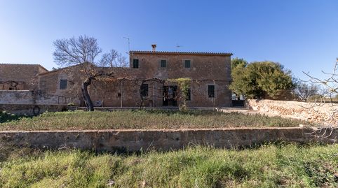 Foto 2 de Finca rústica en venta en Cort, Palma de Mallorca