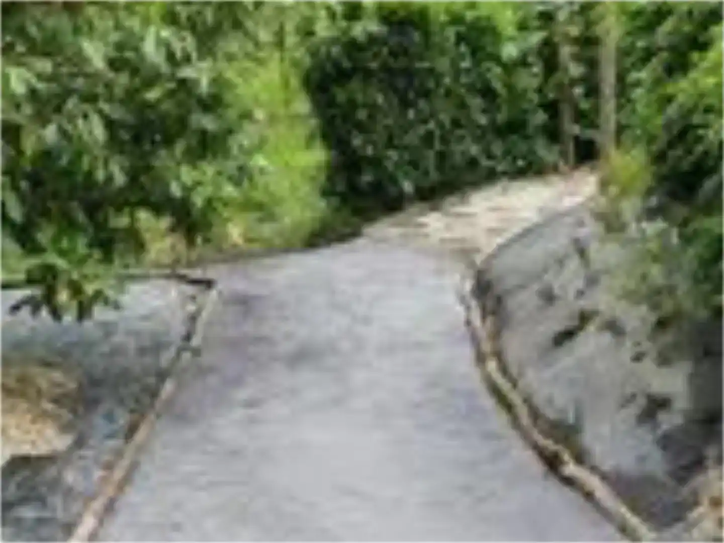 Vista exterior de Finca rústica en venda en San Sadurniño amb Jardí privat