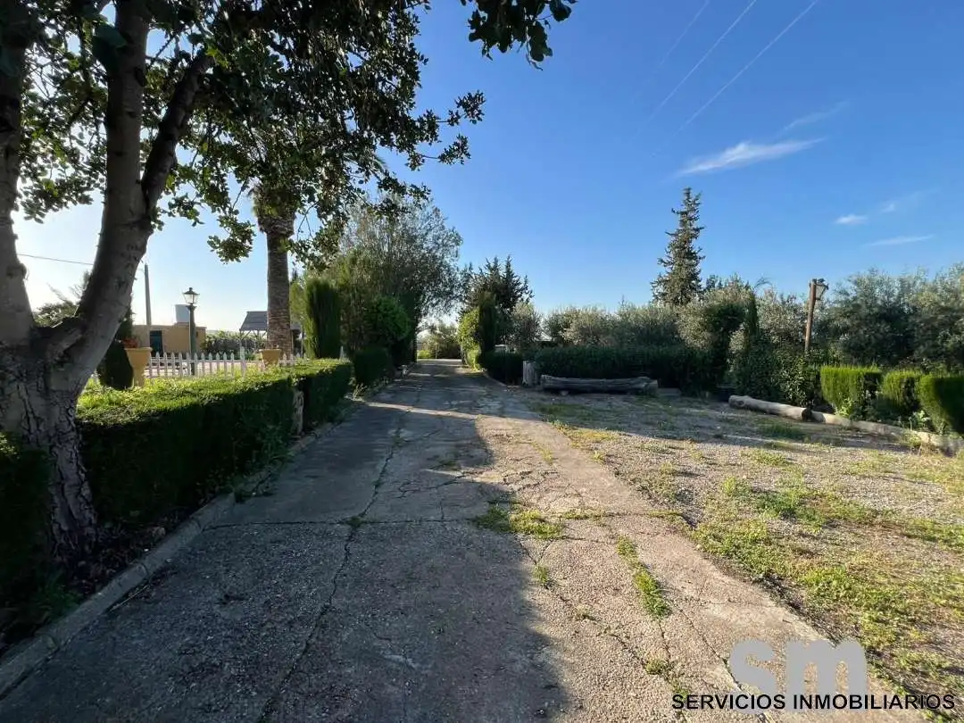 Terreno rústico en venta en Villamartín, imagen 5