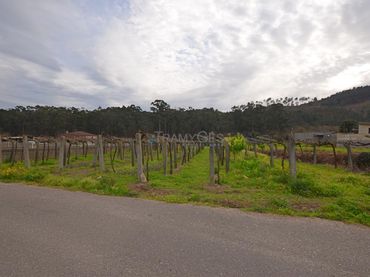 Terreno residenziale in vendita a Tui