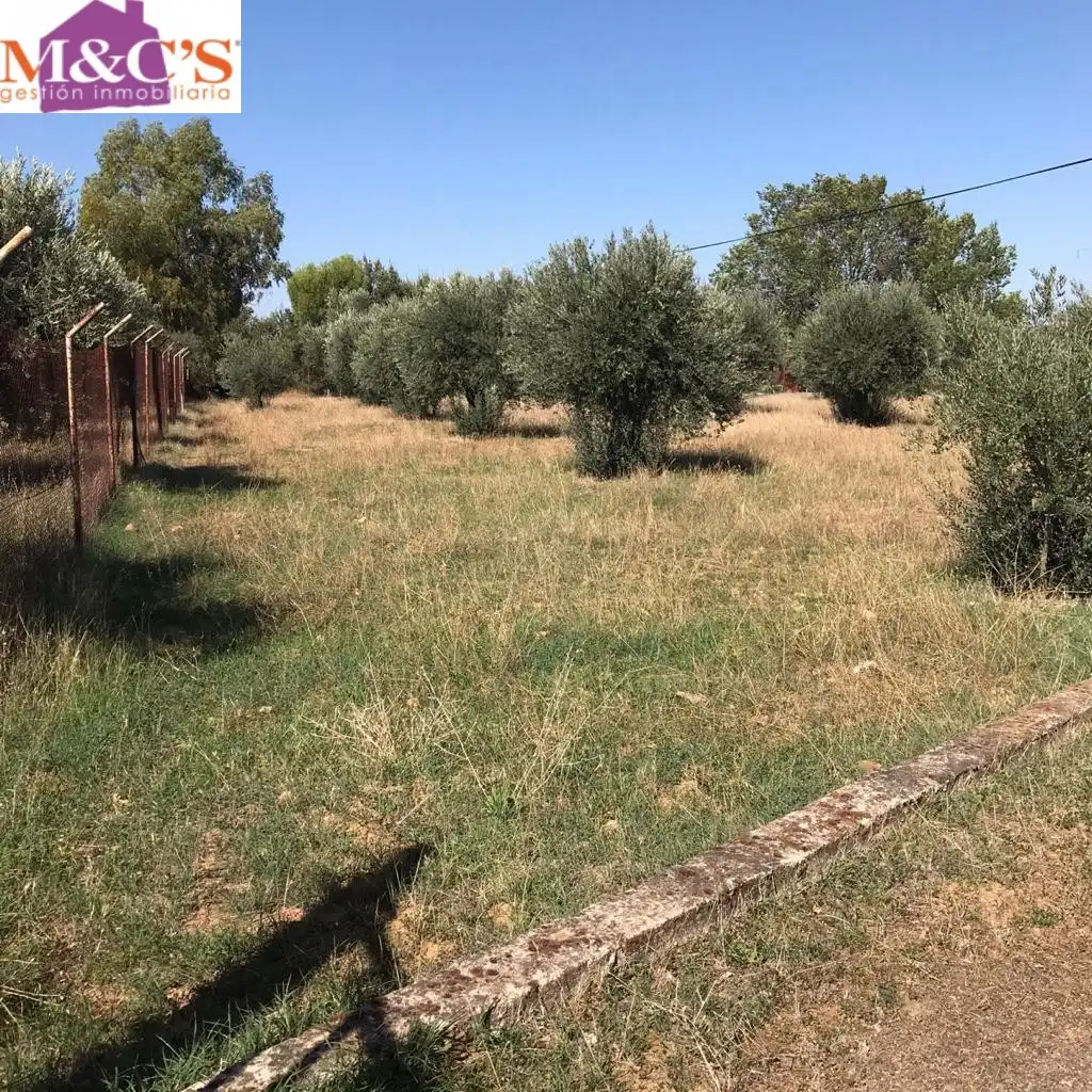 Rural land for sale in Almodóvar del Campo, imagen 4