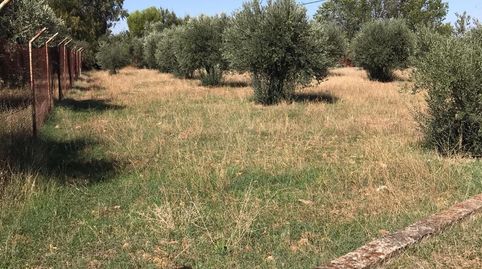 VENTA DE TERRENO REF. 3968, imagen 4