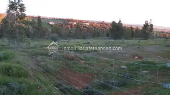 Terreni e lotti in vendita a Valdesalor - Rincón de Ballesteros, imagen 5