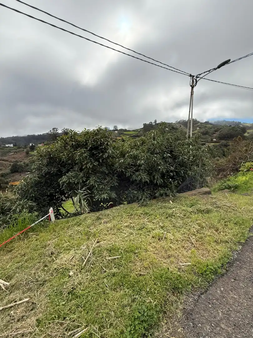 Finca rústica en venta en Santa María de Guía de Gran Canaria con Amueblado