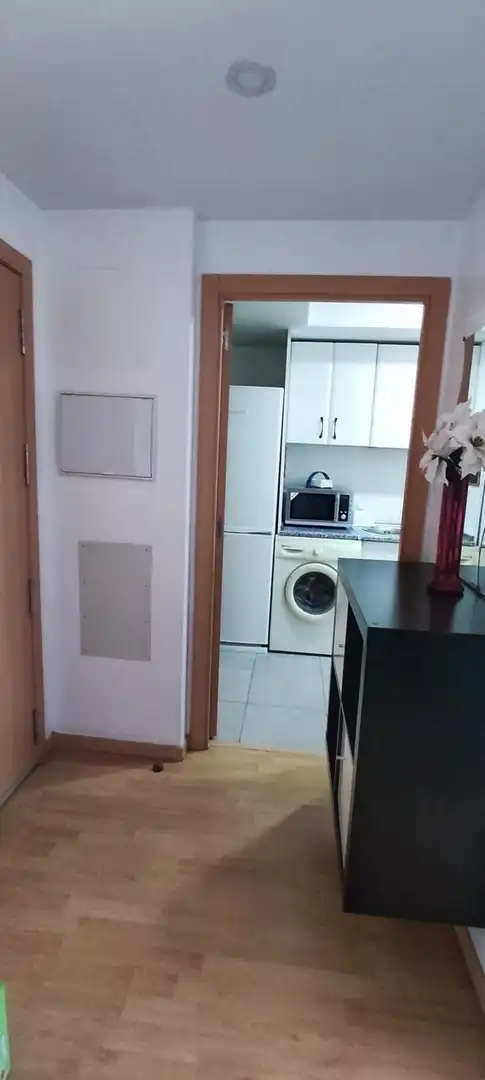 Kitchen of Flat for sale in La Cañada