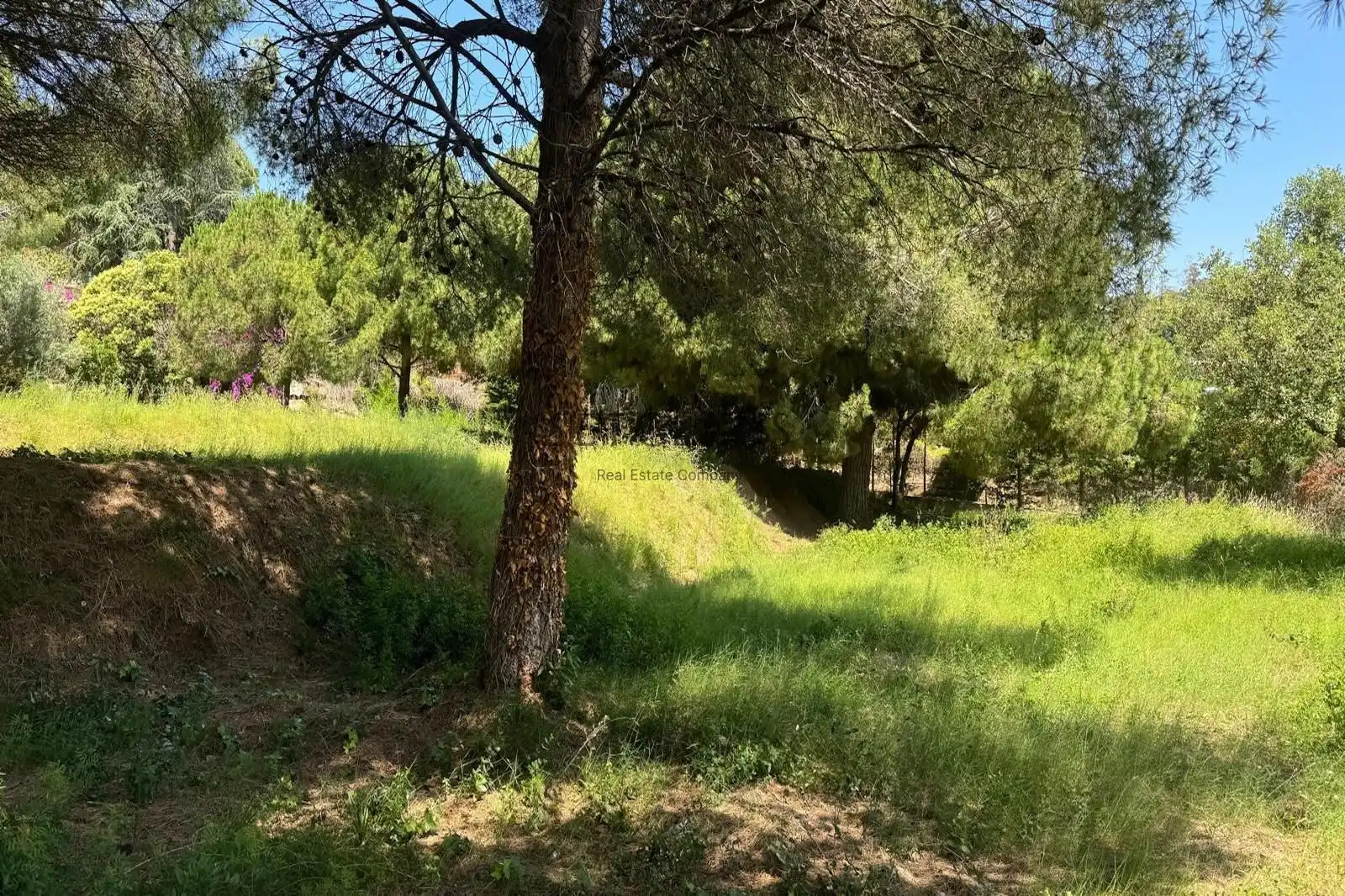 Terreny rústic en venda a Cabrera de Mar, imagen 9