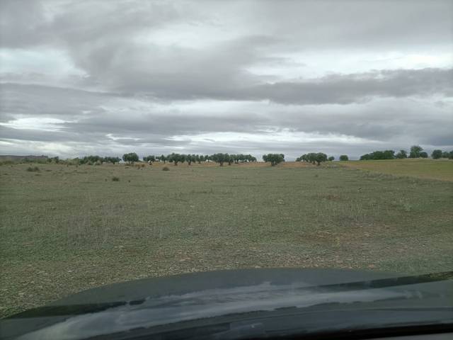 Terreno en Venta en Almonacid de Toledo