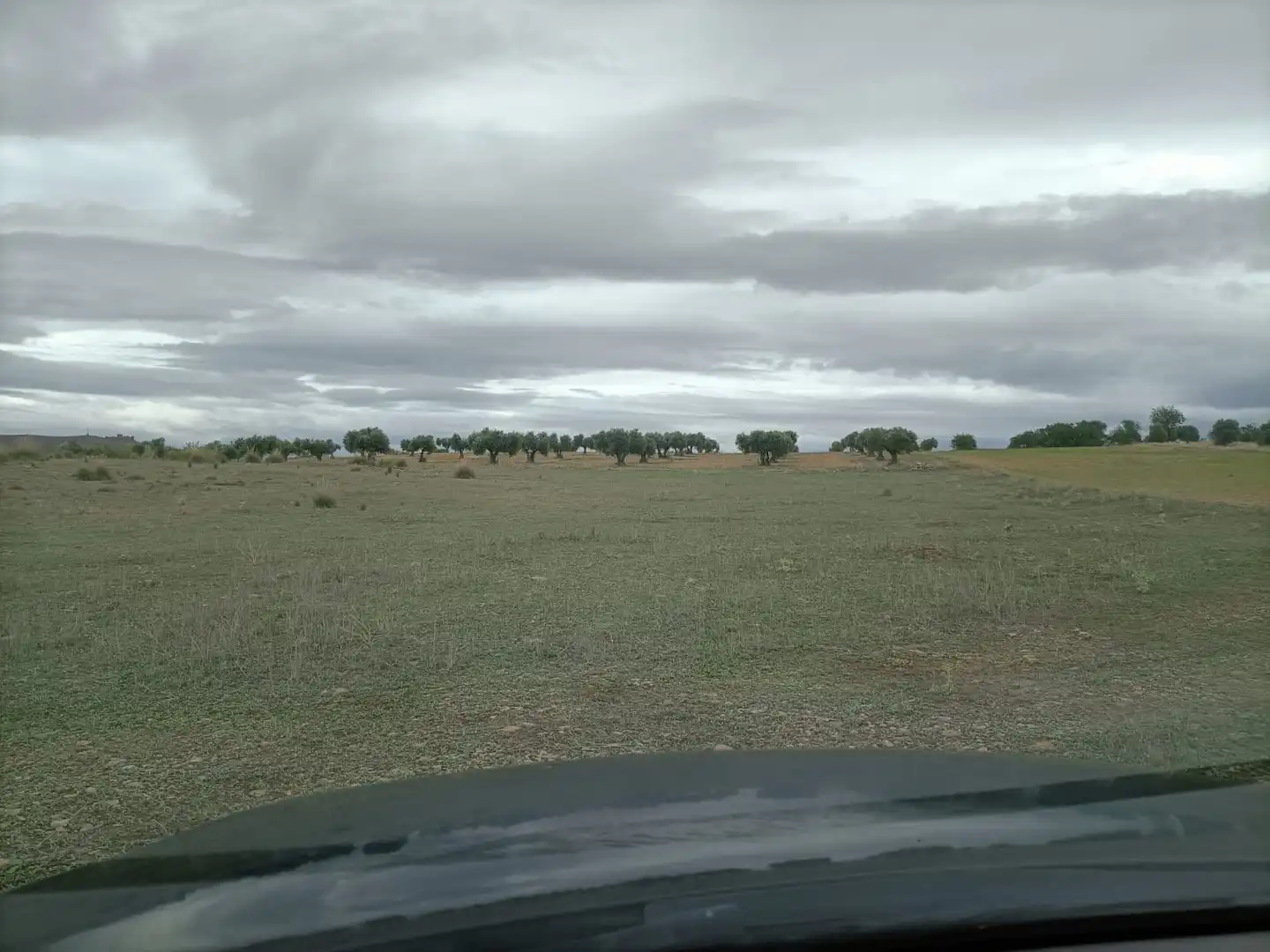 Rural land for sale in Almonacid de Toledo