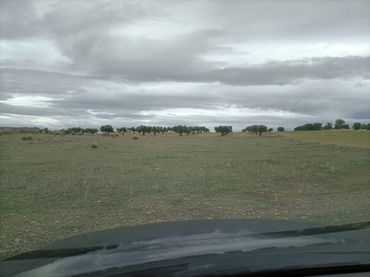 Terreny rústic en venda a Almonacid de Toledo