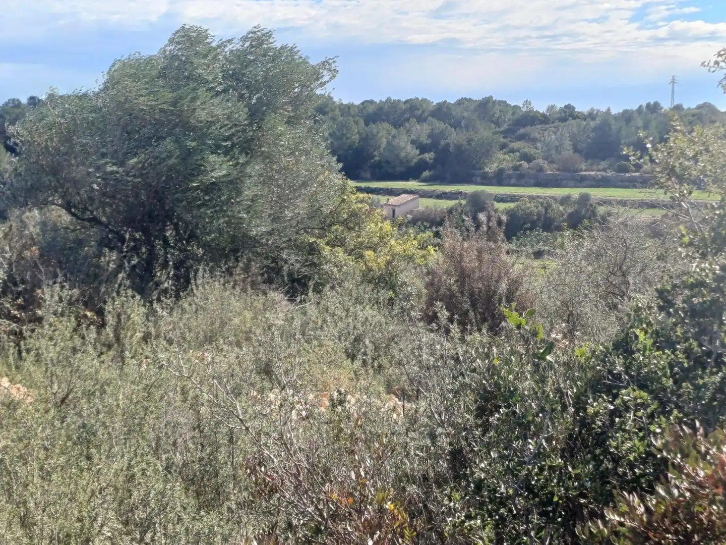 Terreno en venta en Tortosa