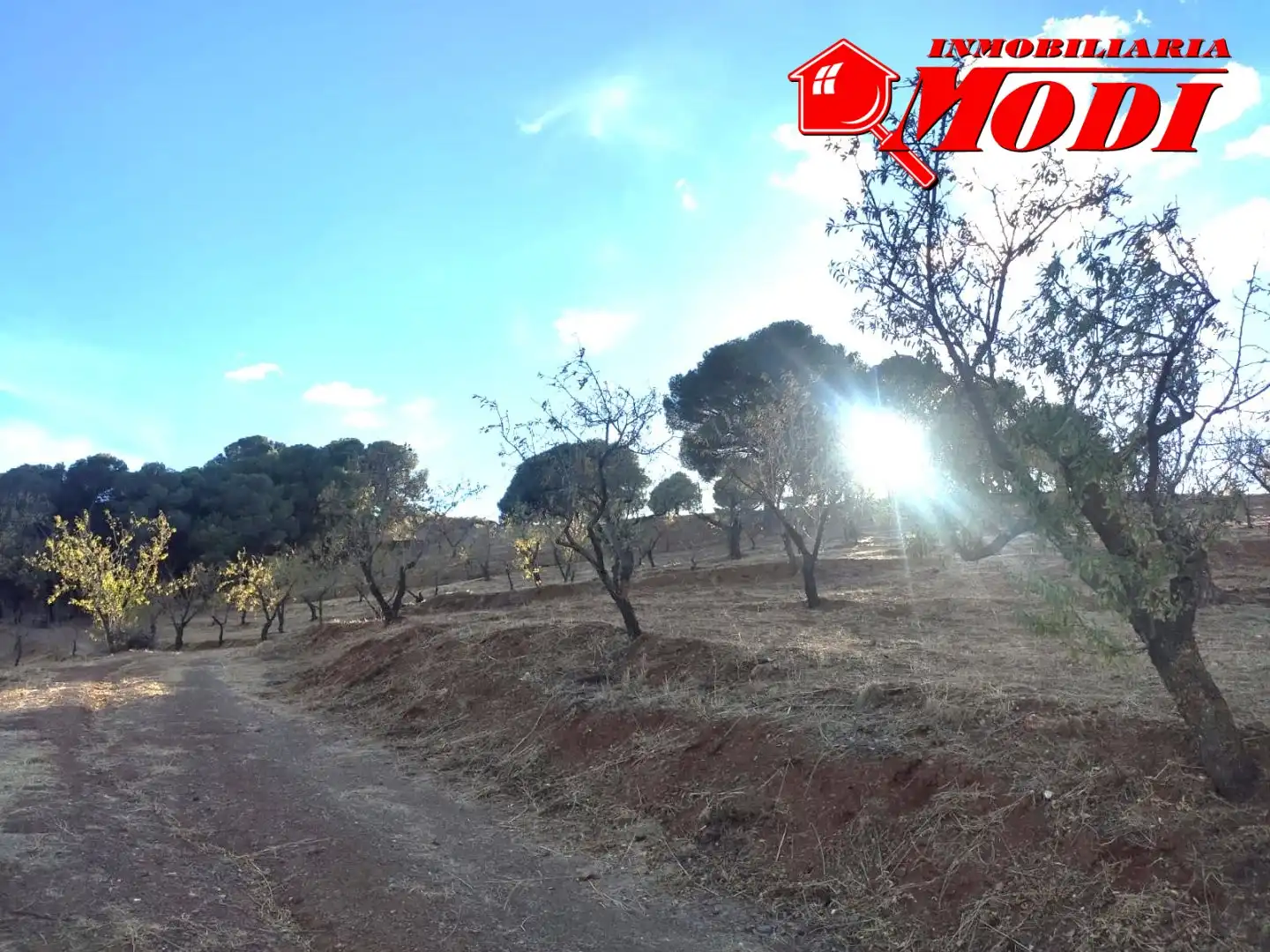 Finca rústica en venda en Villamena amb Jardí privat