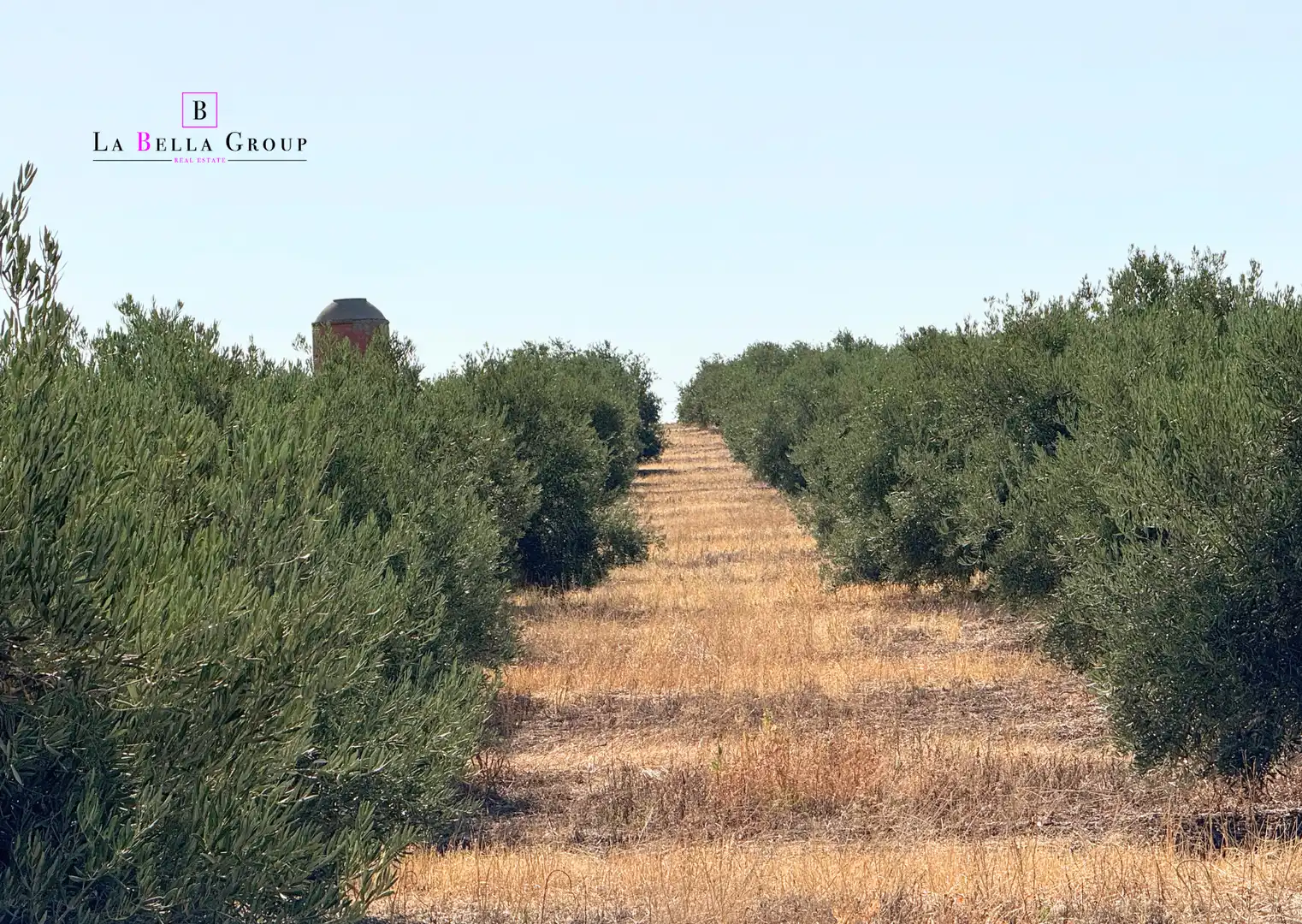Finca rústica en venda en Santa Cruz de Mudela amb Aire condicionat, Jardí privat i Terrassa