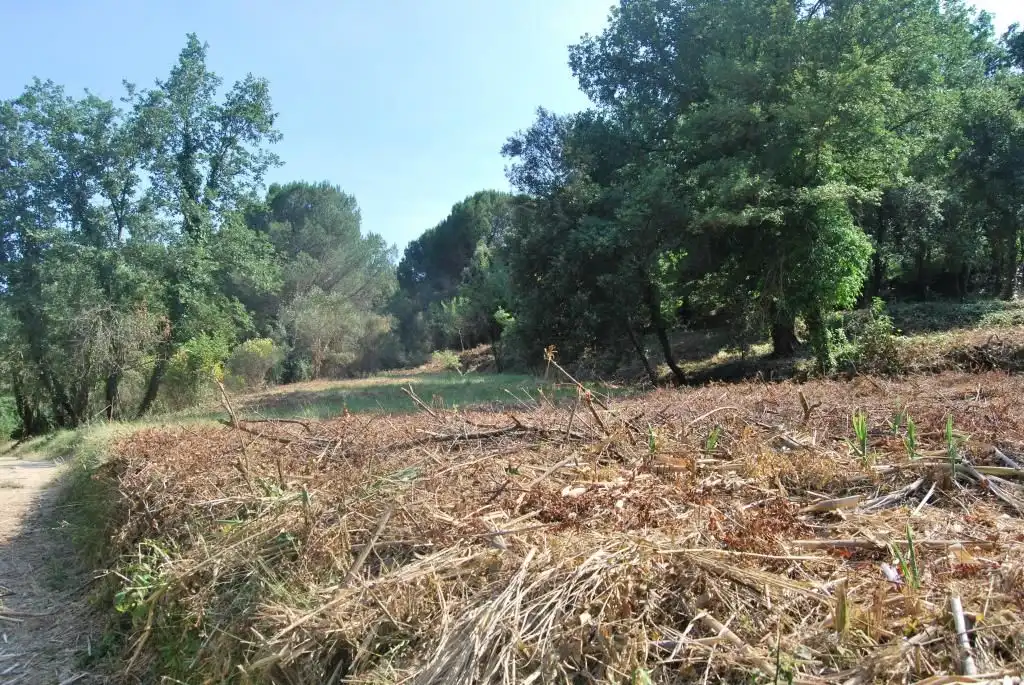 Terreny rústic en venda a Sant Celoni, imagen 19