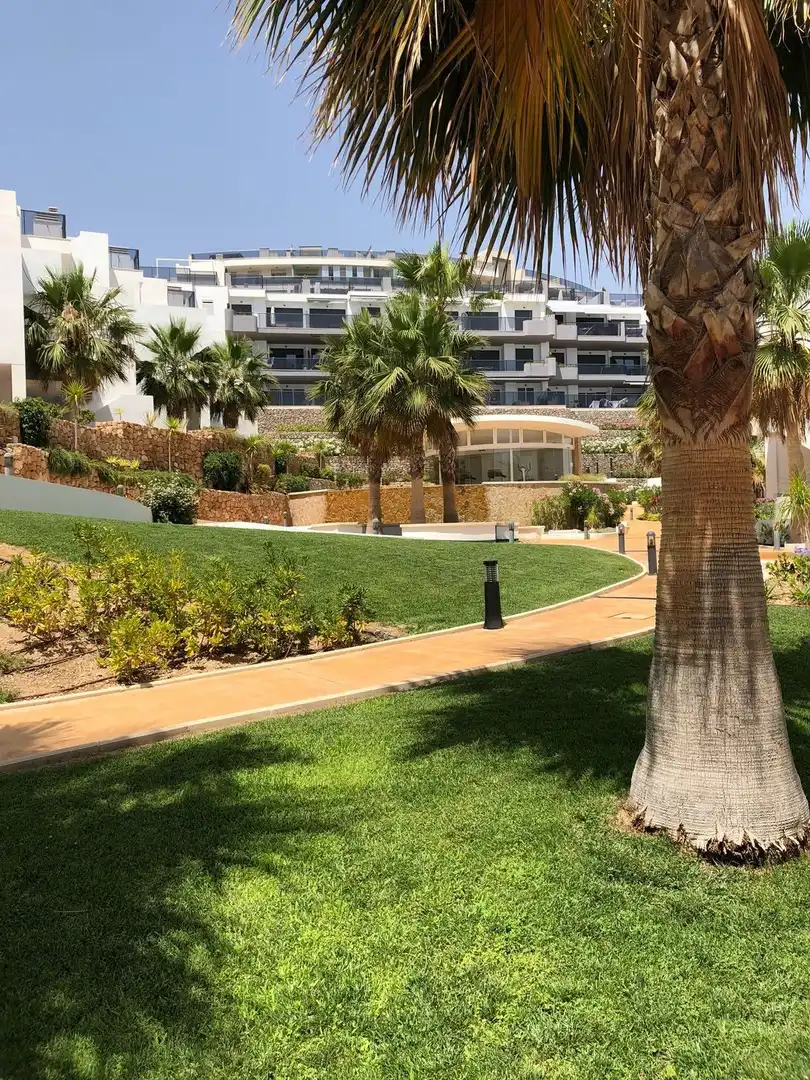 Appartement compact avec piscine à louer à Los Arenales del Sol, imagen 20