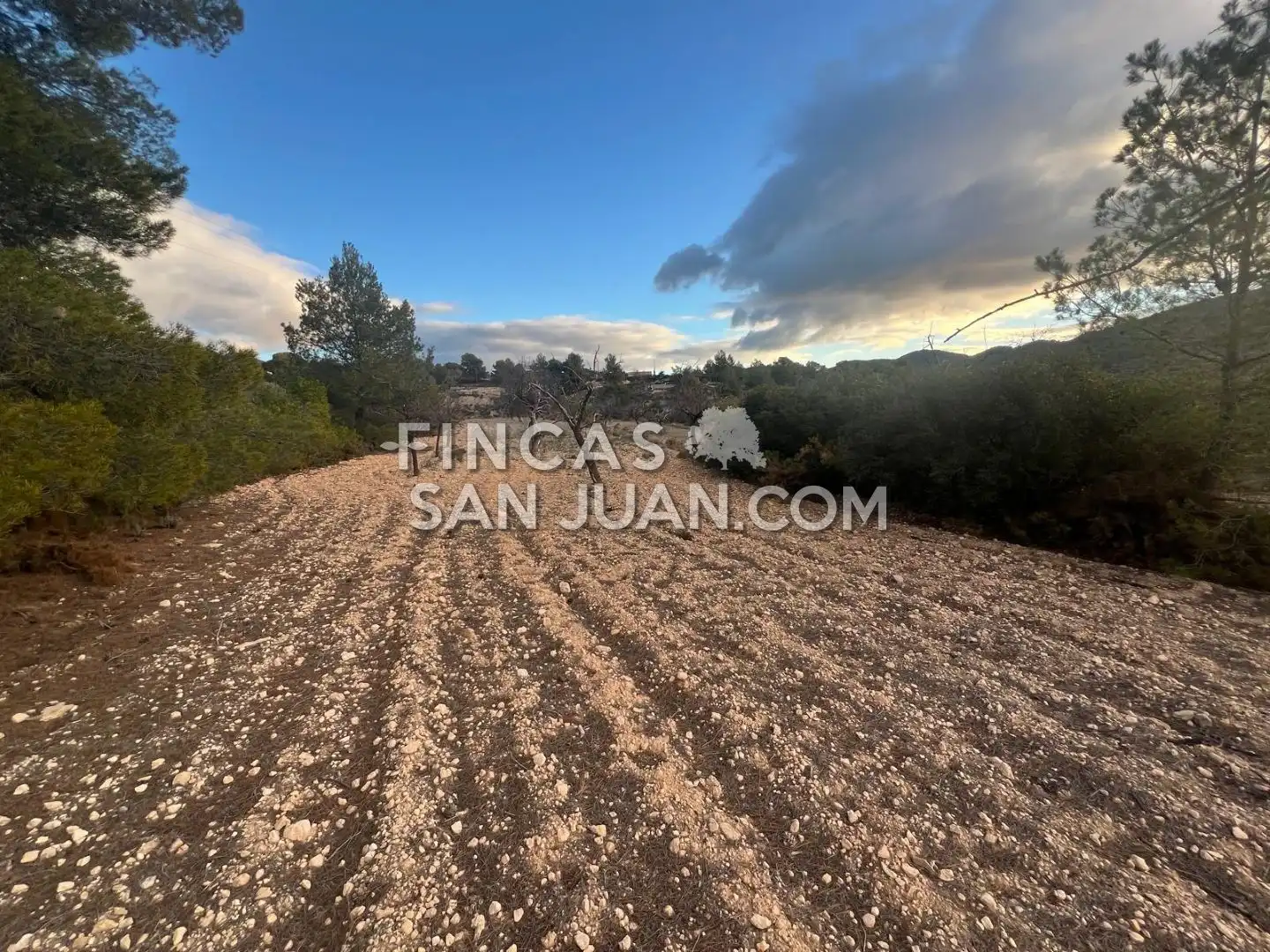 Terreny residencial en venda a Torremanzanas / La Torre de les Maçanes, imagen 4