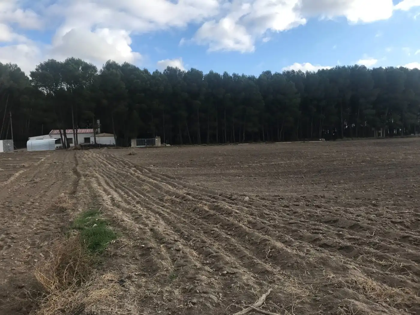 Grundstücke zum Verkauf in Villena