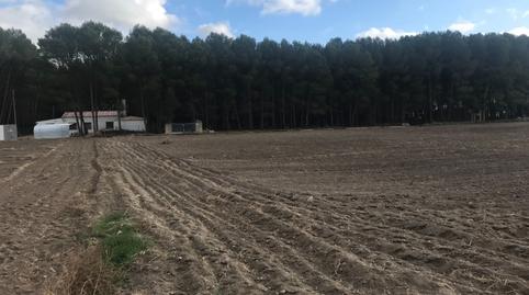 Photo 5 of Residential for sale in Villena - Camino las Chozas, Las Virtudes, Alicante