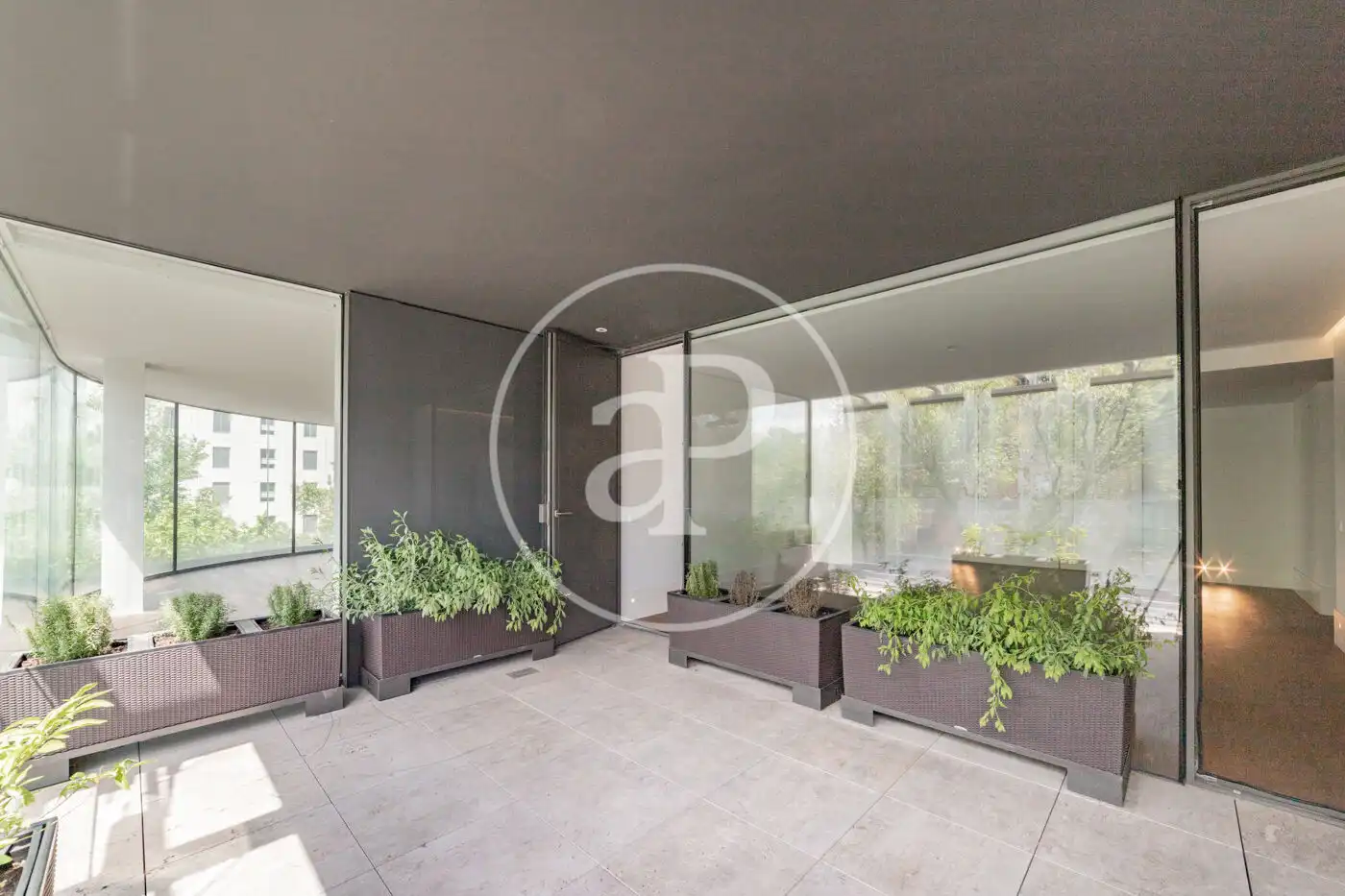 Flat for rent in Calle de Lagasca, Castellana