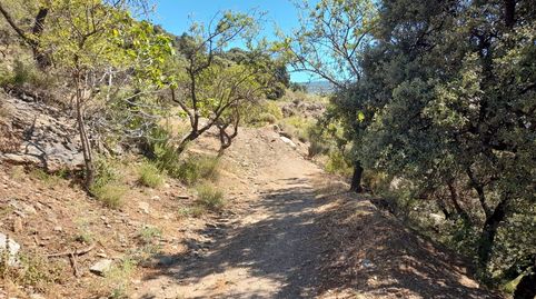 Photo 4 of Houses for sale in 2x7v+qw Laroles, Spain, 1, Nevada, Granada