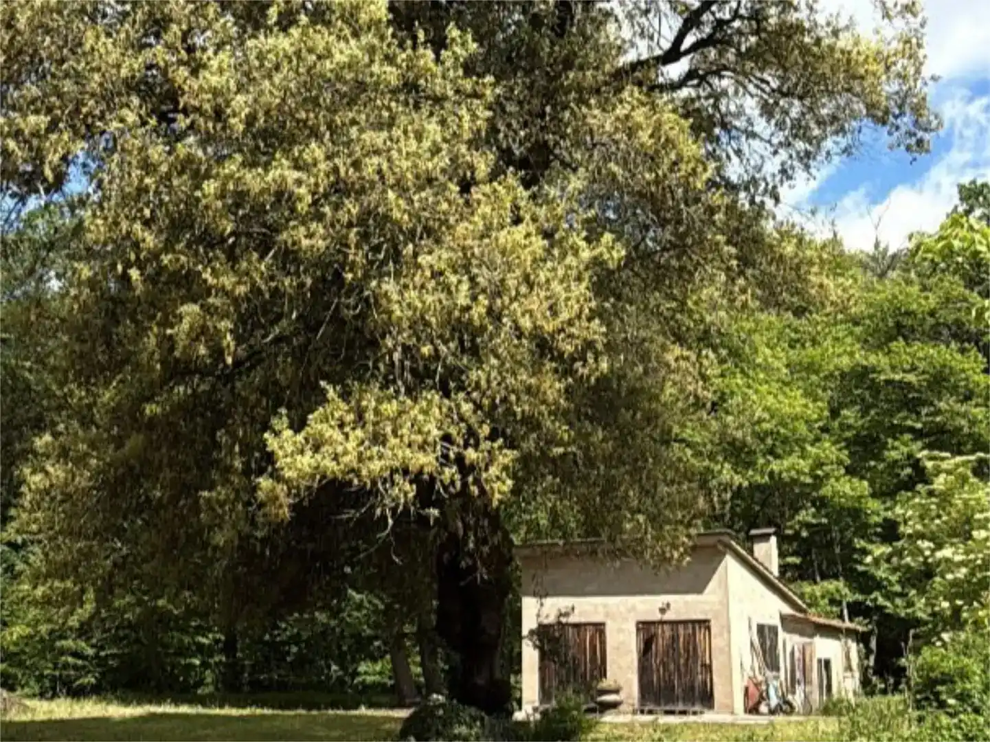 Vista exterior de Pis en venda en Santa Pau amb Jardí privat i Traster