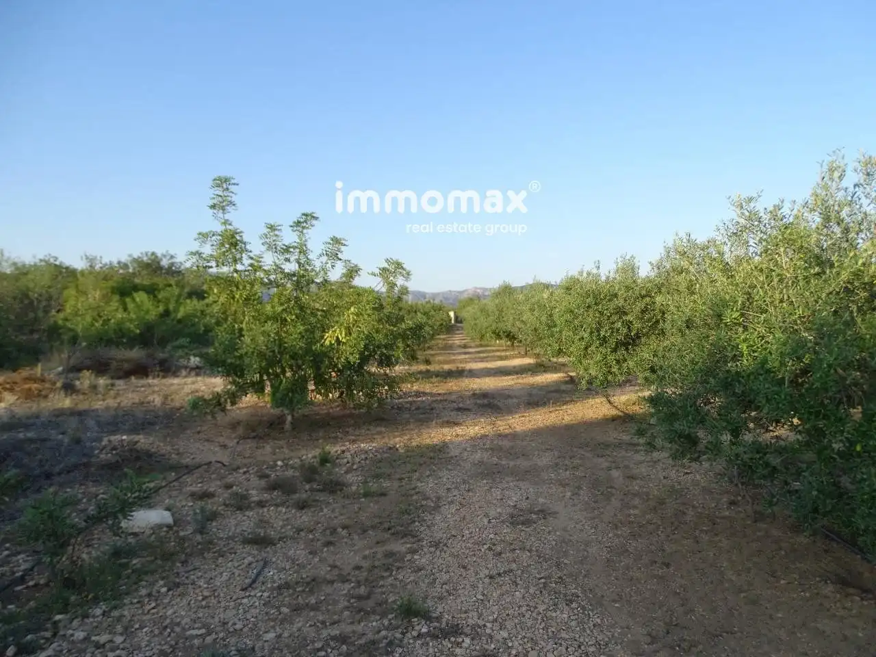 Terrenos y solares en venta en 2, imagen 2