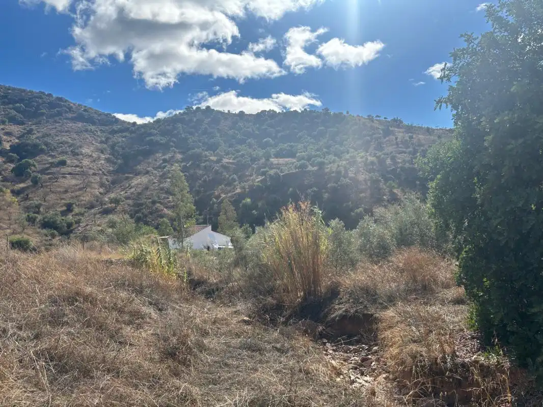 Finca rústica en venta en Polígono 23 Parcela 90 LAS FUENTES. ALMOGIA (MÁLAG, Almogía