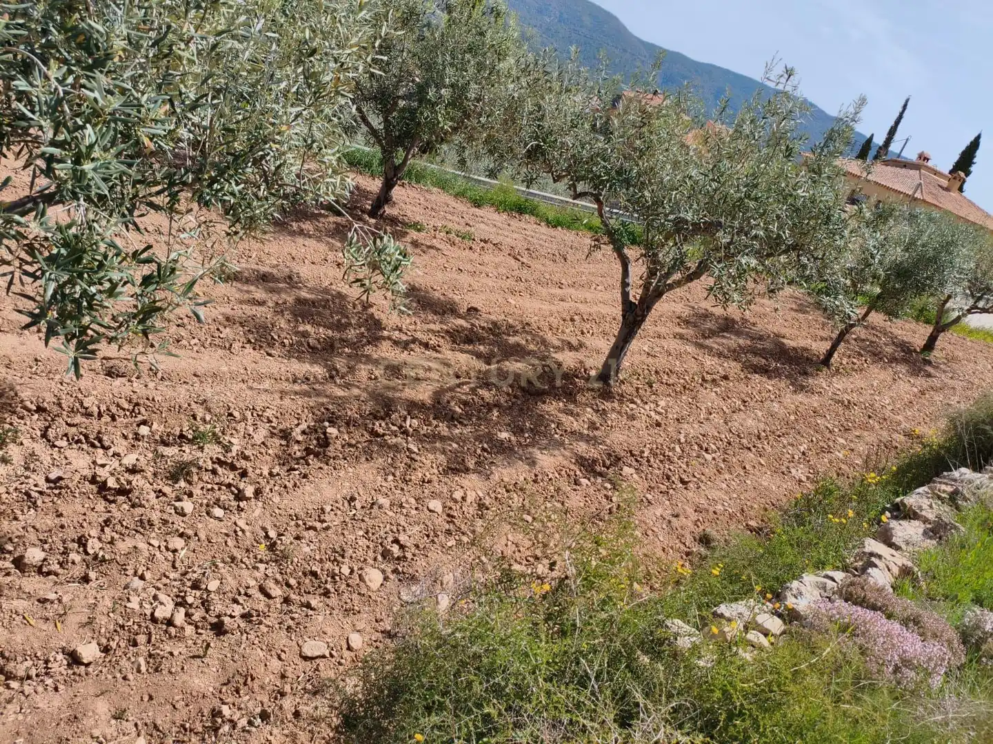 Terrain rustique à vendre à 46175 Calles, Spain, imagen 3