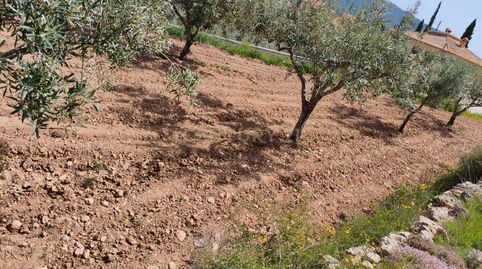 Parcela urbanizable de 3.048 m en entorno natural  Calles Valencia, immagine 3