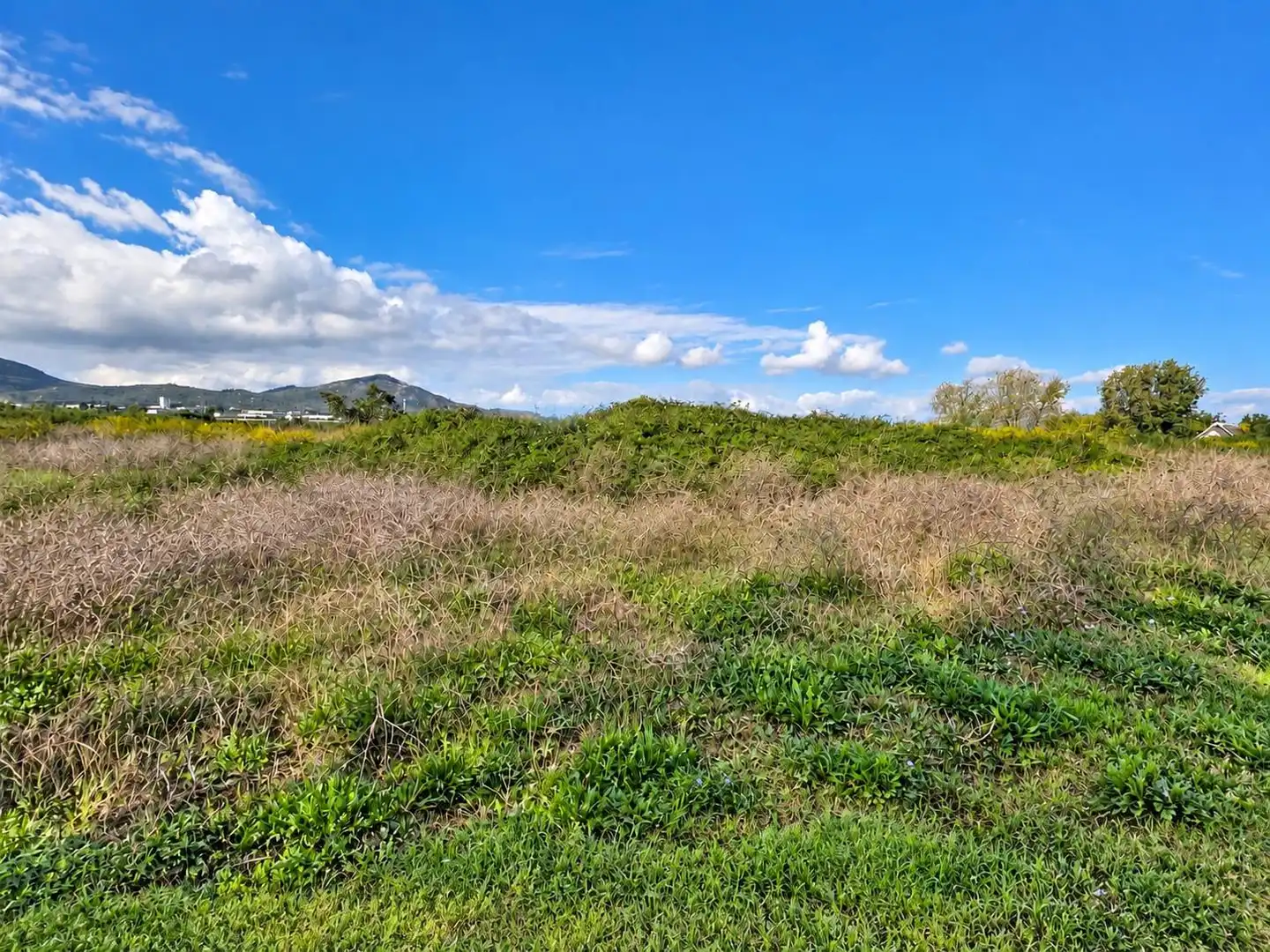 Rural land for sale in Polígono Sèquia de la Figuerola Dreta, imagen 13