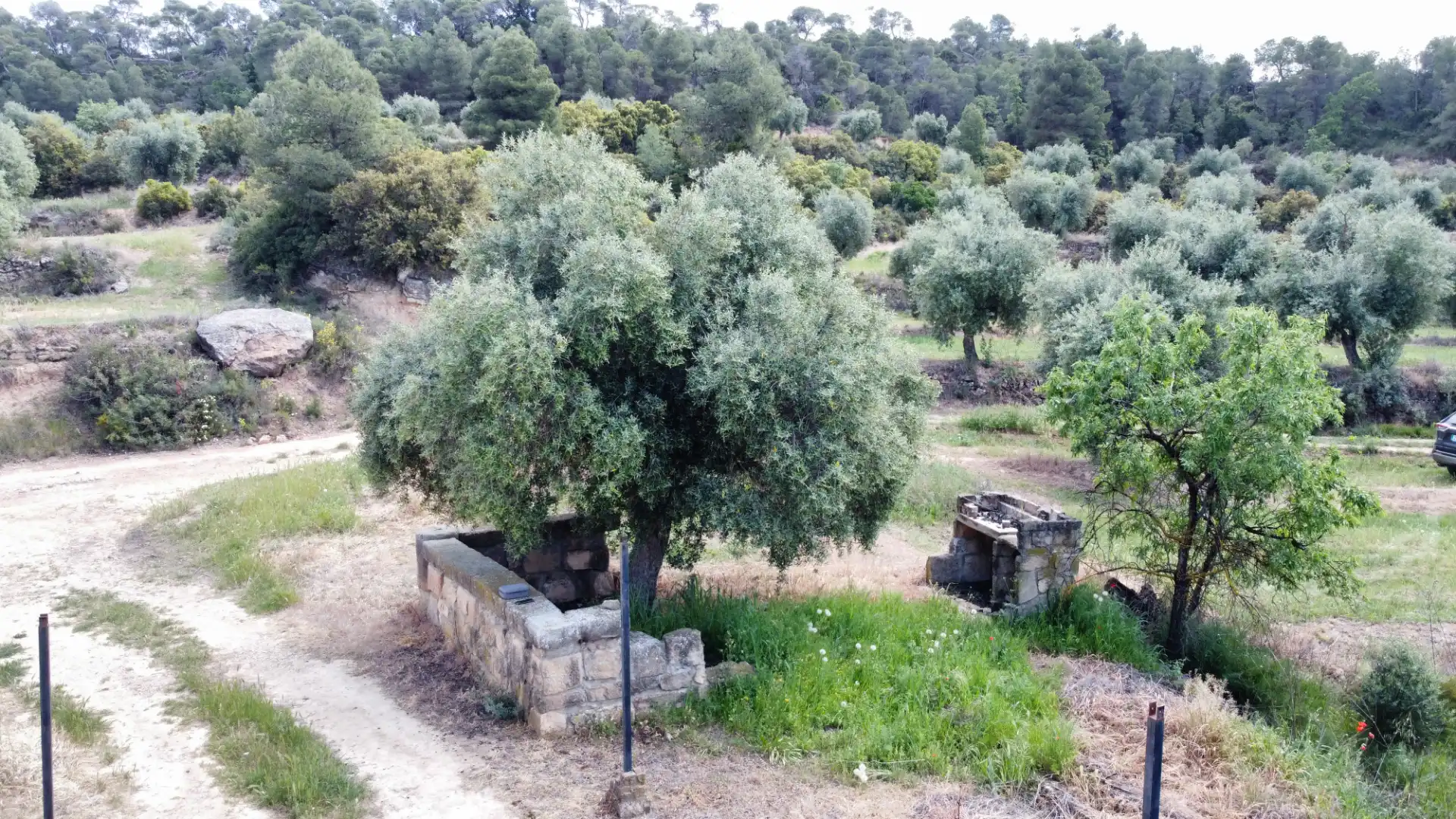 Land for sale in Juncosa