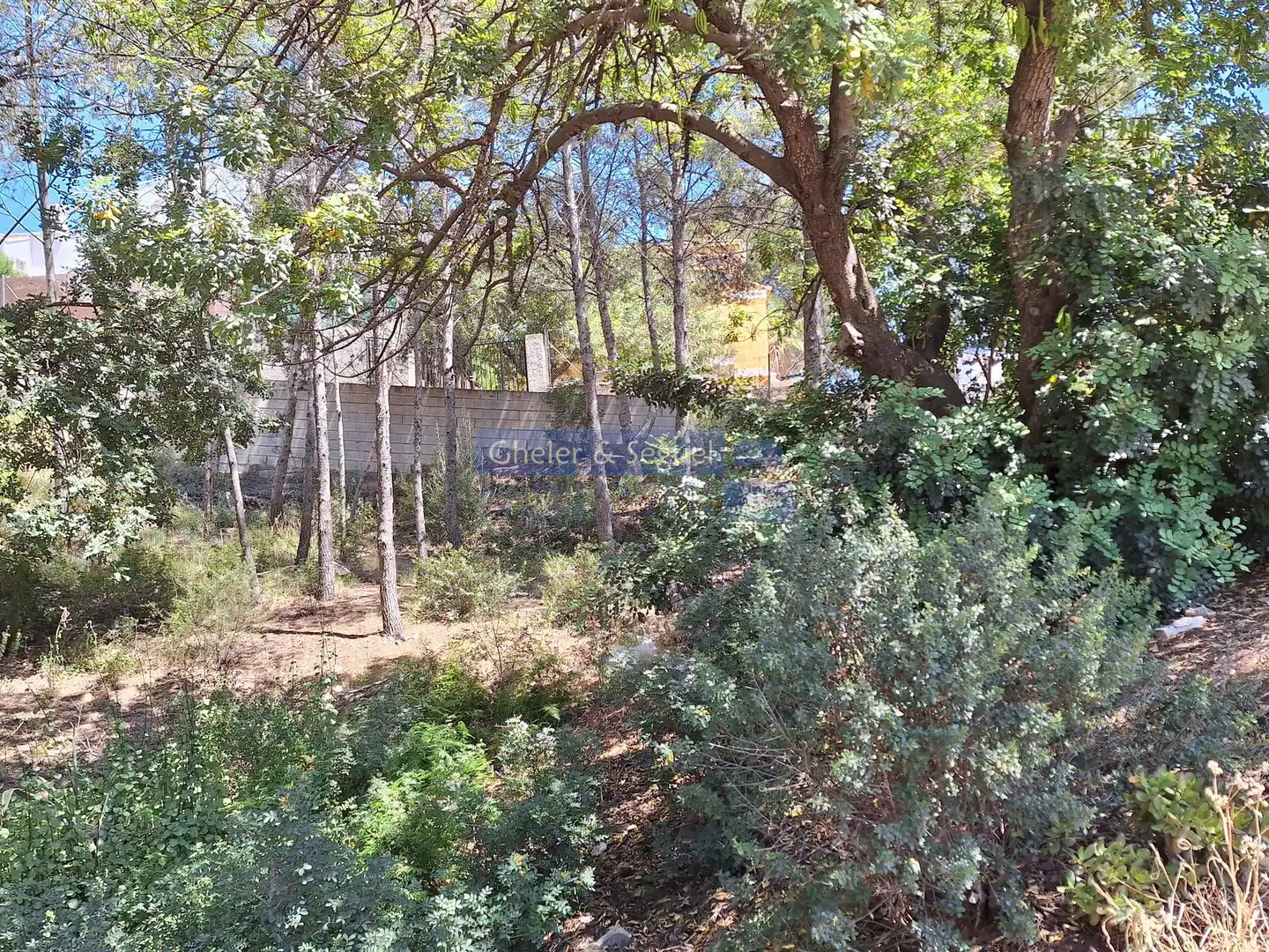 Lands and plots for sale in Gilet, imagen 2