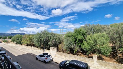 Foto 5 von Wohnung zur Miete in Sa Pobla, Illes Balears