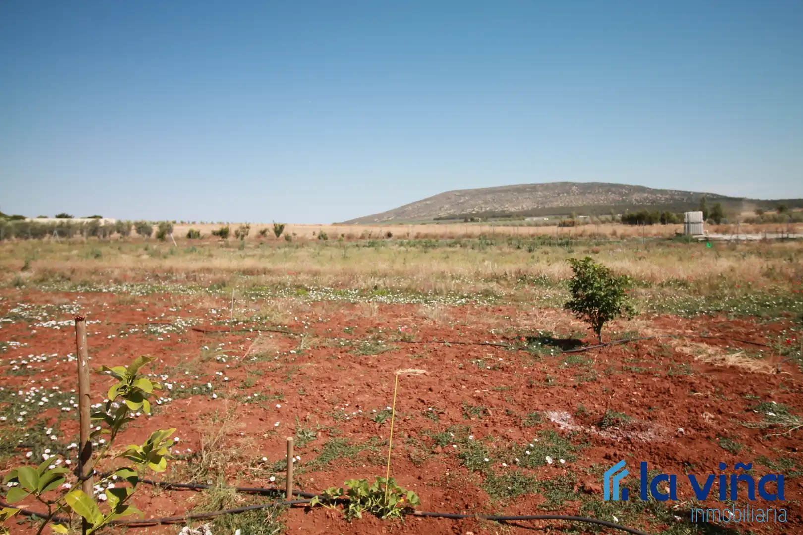 Rural land for sale in Mollina, imagen 11