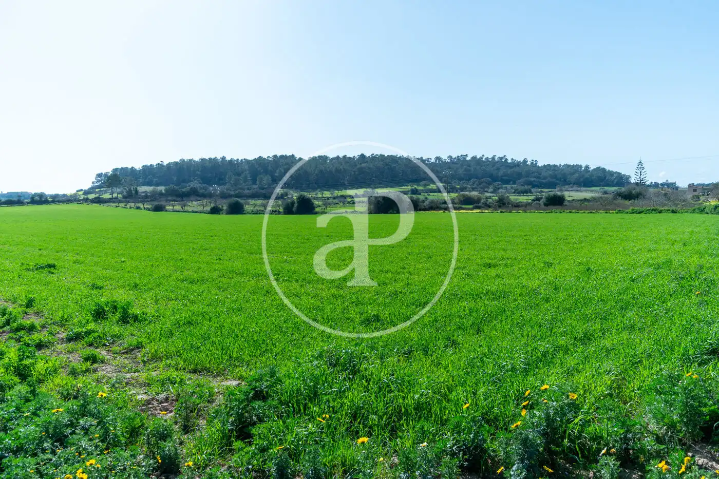Residential for sale in Porreres