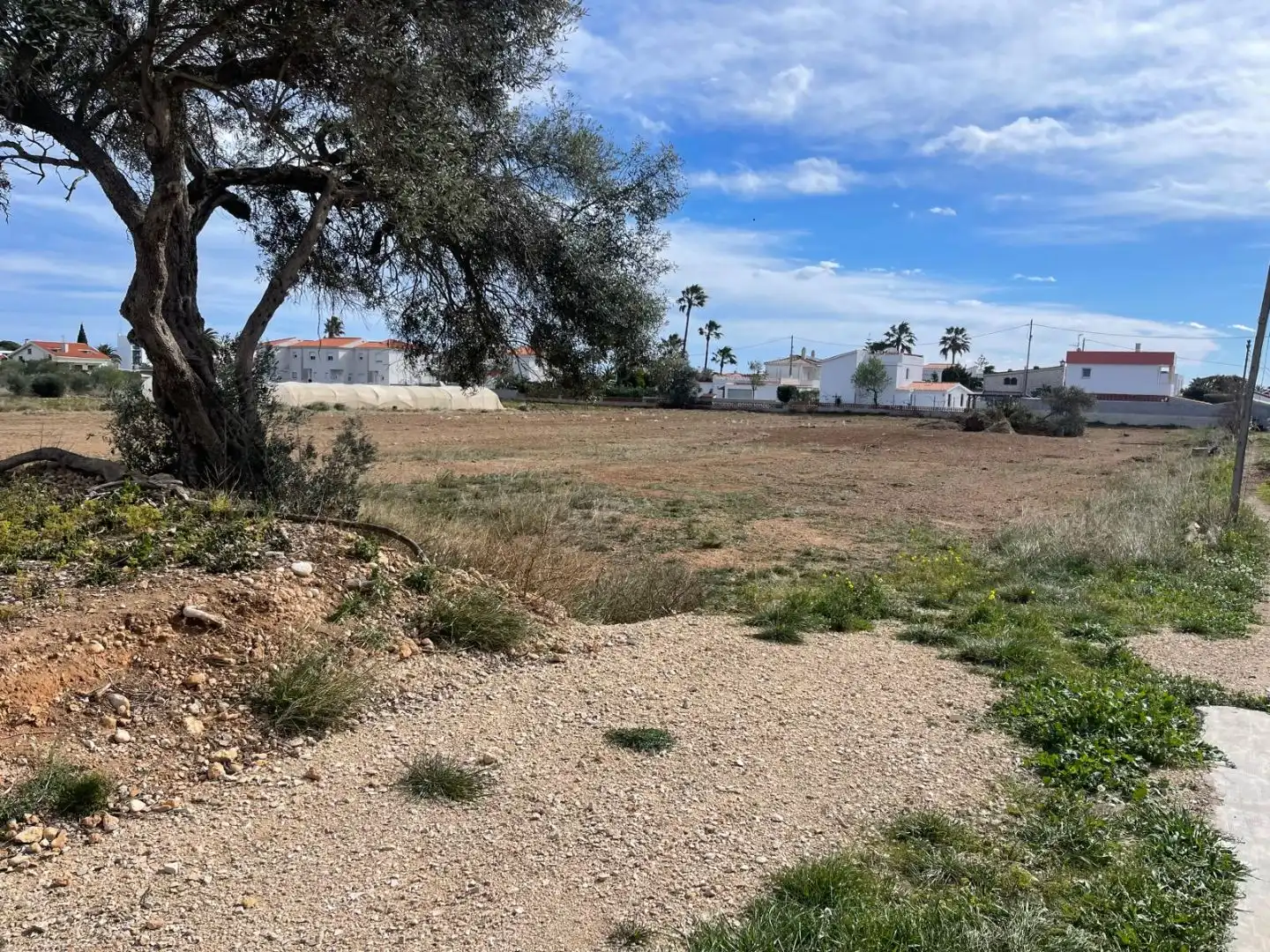 Detached house with garden for sale in CALLE BARBIGUERA 18, imagen 4