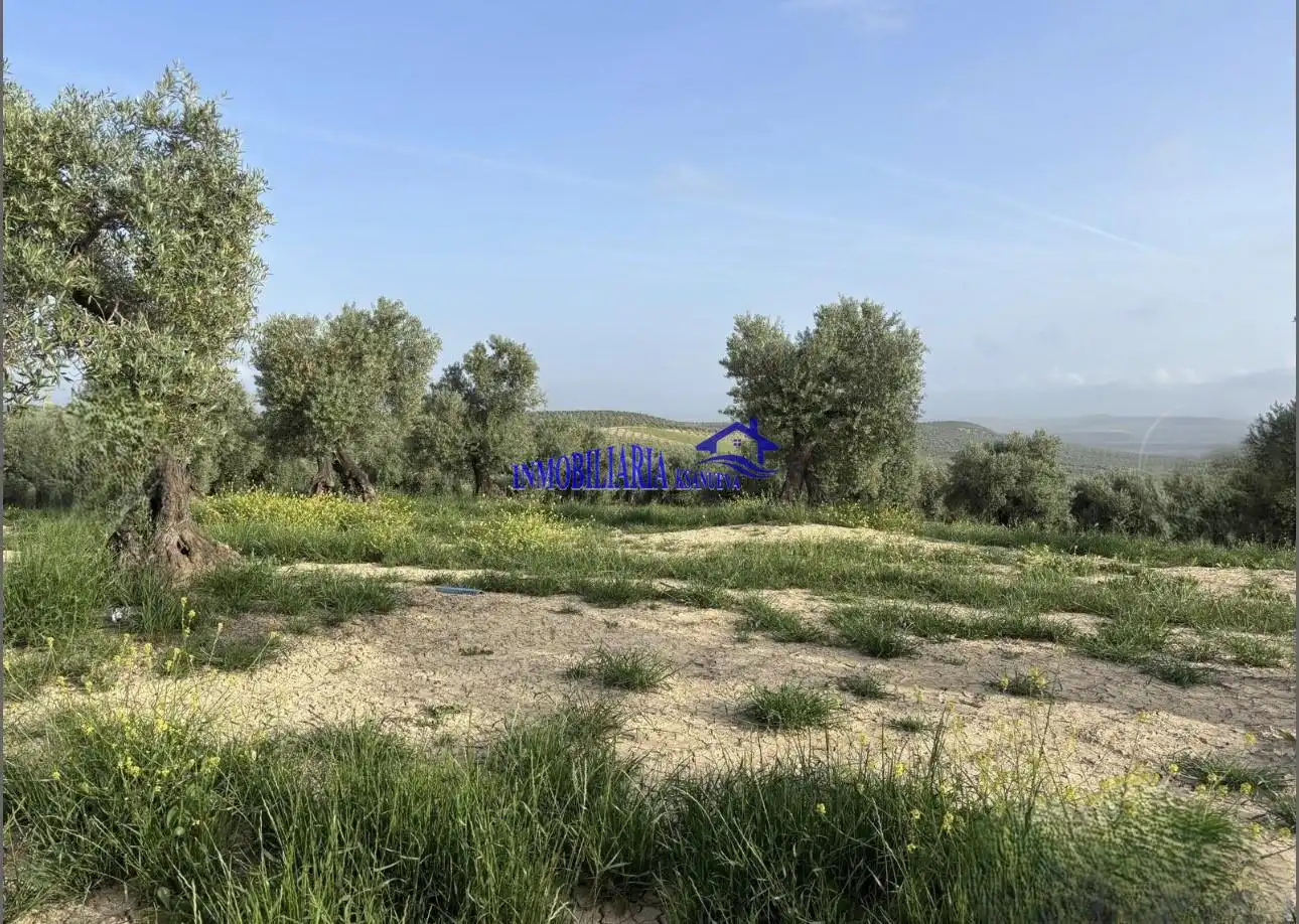 Finca rústica en venta en Bujalance