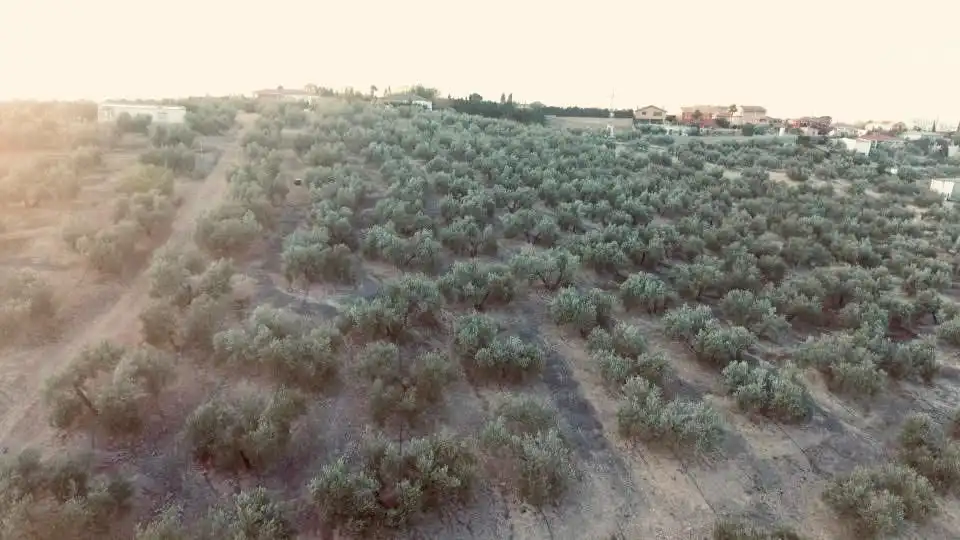 Terreni e lotti in vendita a La Guardia de Jaén, imagen 2