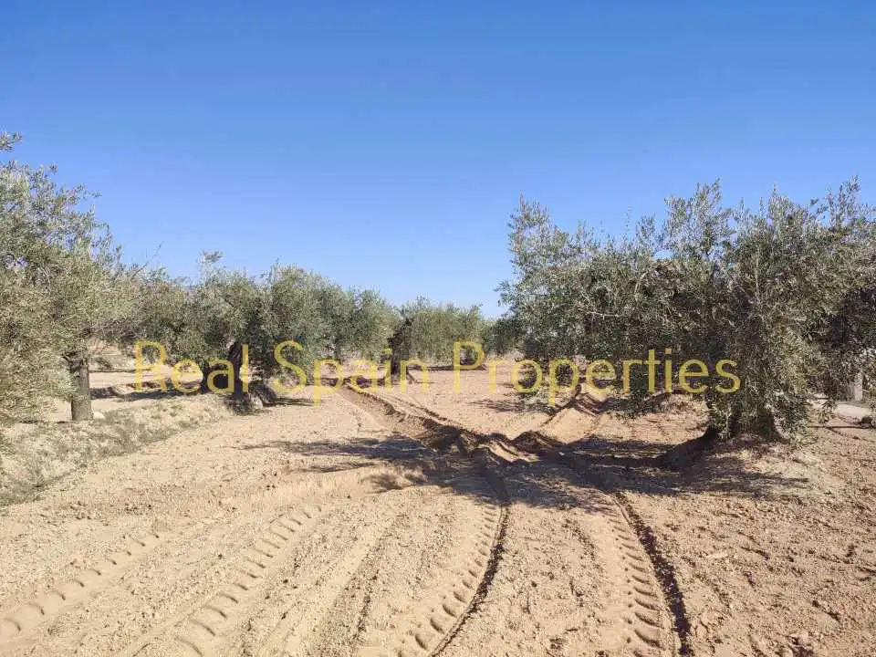 Residential land for sale in Vélez-Rubio