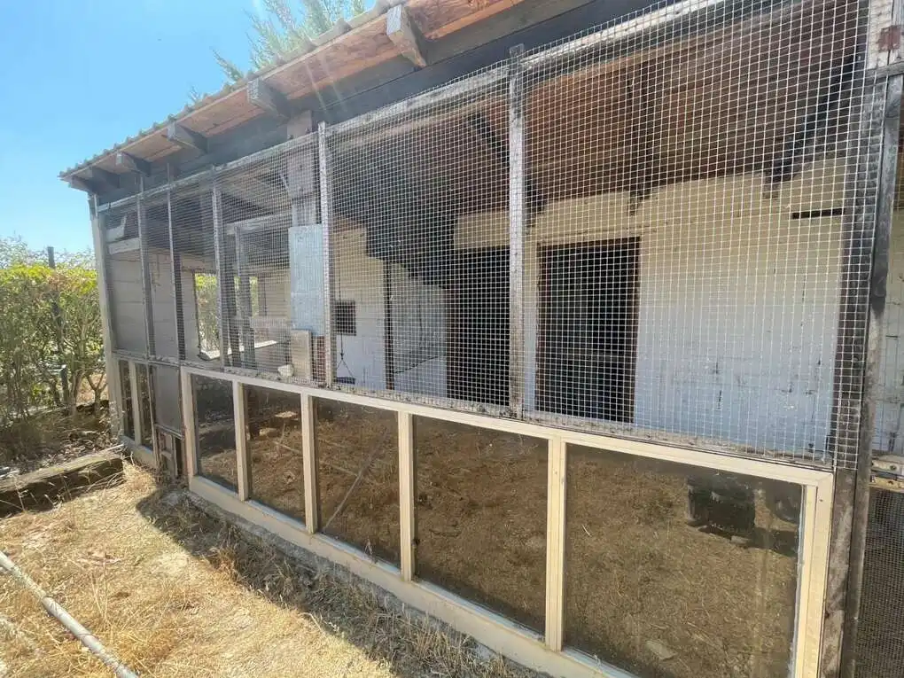 Vista exterior de Terreno en venta en Pueyo / Puiu