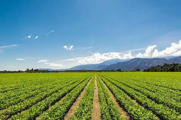 Residential land for sale in Moraña