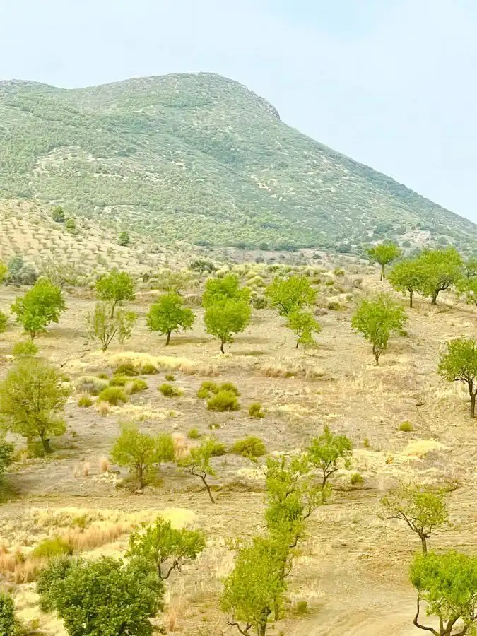 Rural land for sale in Puerto Lumbreras, imagen 14
