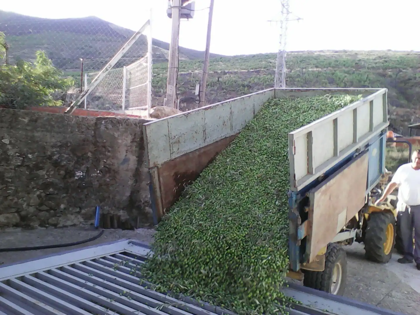 Garden of Industrial buildings for sale in Gata