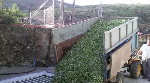 Foto 3 von Fabrikhallen zum Verkauf in Calle Hernán Cortés, 21, Gata, Cáceres