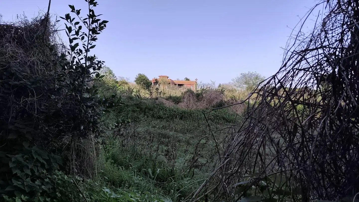 Finca rústica en venda en El Tanque
