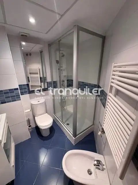 Piso con piscina en alquiler en Avenida de las Suertes, imagen 17