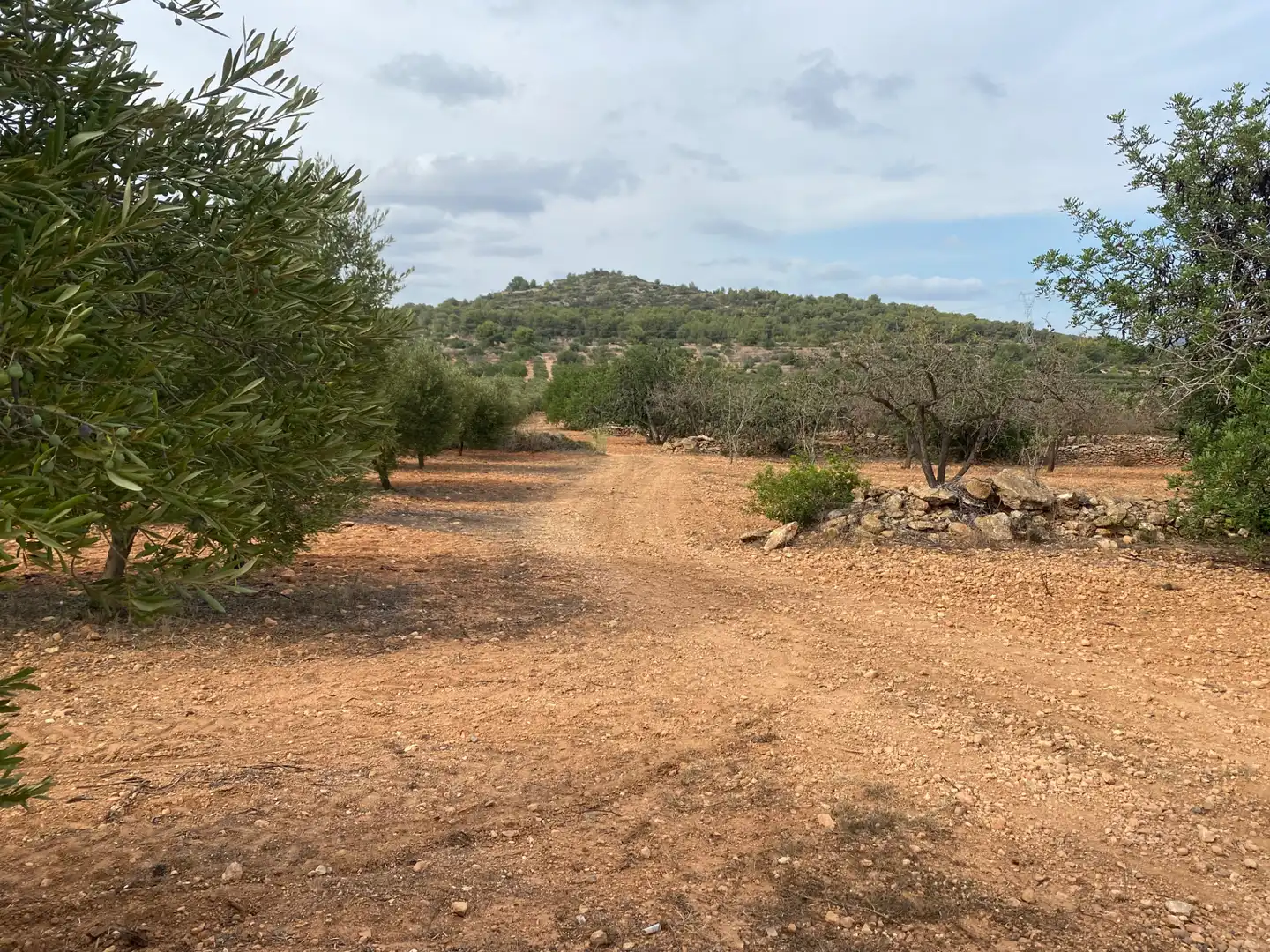 Terrain rustique à vendre à Carrer Camí de Montferri, imagen 9